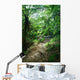 Trail Rainforest Meeting Wall Decal
