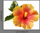Orange and Red Hibiscus Wall Decal