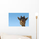 Giraffe Head Wall Decal