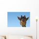 Giraffe Head Wall Decal