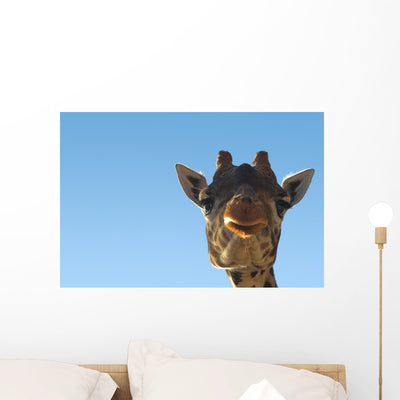 Giraffe Head Wall Decal shown on a wall