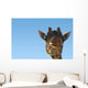 Giraffe Head Wall Decal