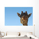 Giraffe Head Wall Decal