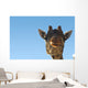 Giraffe Head Wall Decal