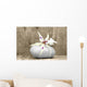 Zen Composition Wall Decal