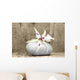 Zen Composition Wall Decal