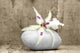Zen Composition Wall Decal