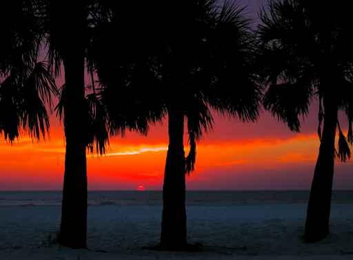 Clearwater Sunset Wall Decal
