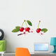 Still Life with Cherry Wall Decal
