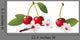 Still Life with Cherry Wall Decal