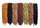 Indian Spices 8 Pcs Wall Decal