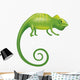 Chameleon Wall Decal