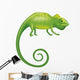 Chameleon Wall Decal