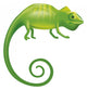 Chameleon Wall Decal
