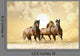 Horses Run Wall Decal