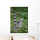 Katta Wall Decal