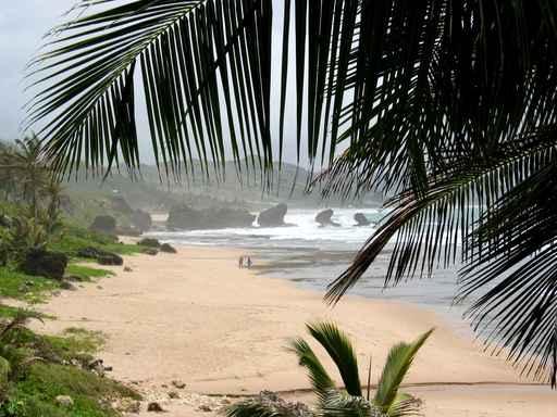 Barbados Beach Wall Decal