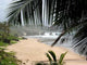 Barbados Beach Wall Decal