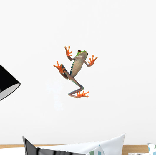 Frog's Belly Wall Decal