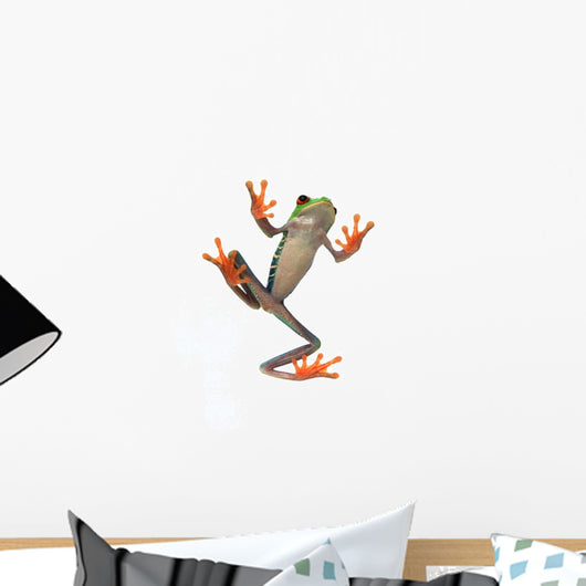 Frog's Belly Wall Decal