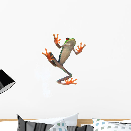 Frog's Belly Wall Decal