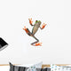 Frog's Belly Wall Decal