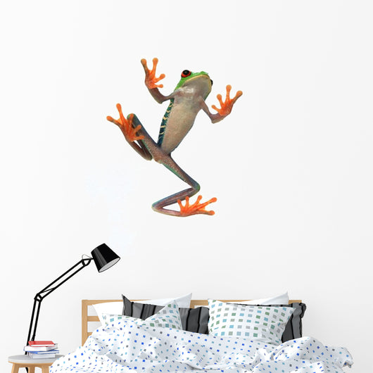 Frog's Belly Wall Decal