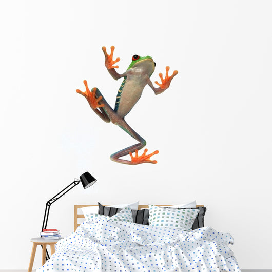 Frog's Belly Wall Decal
