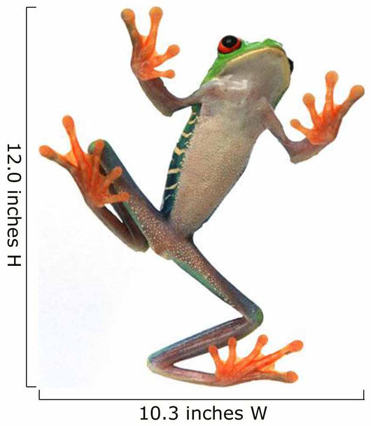 Frog's Belly Wall Decal