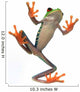 Frog's Belly Wall Decal