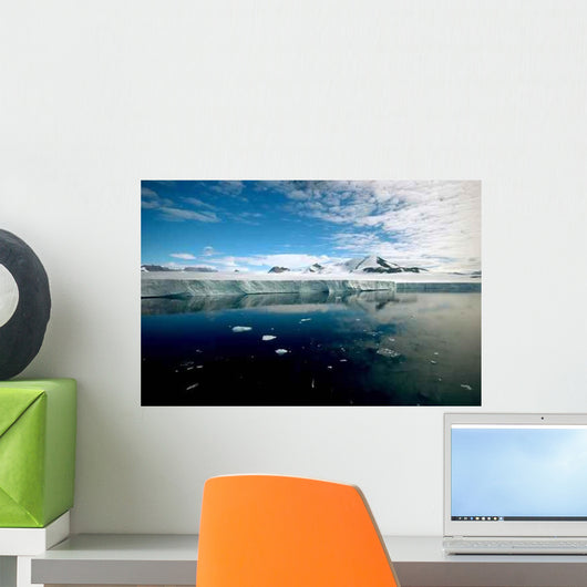 Pure Antarctica Wall Decal