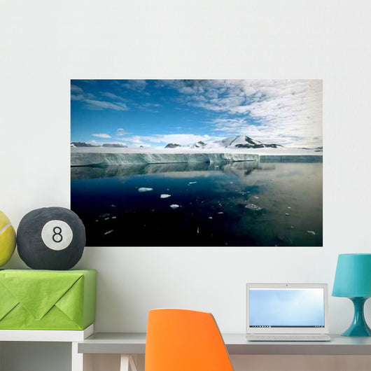 Pure Antarctica Wall Decal