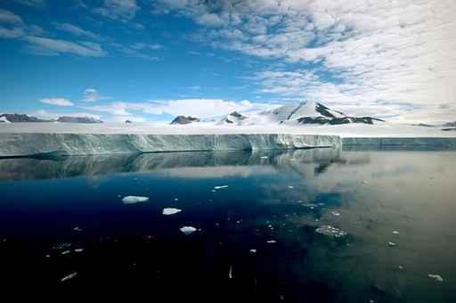 Pure Antarctica Wall Decal