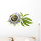 Passion Flower Medicinal Plant Wall Decal