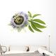 Passion Flower Medicinal Plant Wall Decal