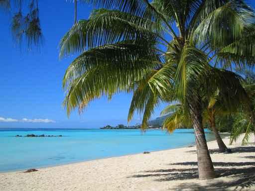 Plage Moorea En Polynesie Wall Decal