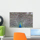 Peacock Wall Decal