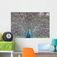 Peacock Wall Decal