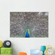Peacock Wall Decal