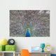 Peacock Wall Decal