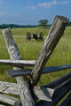 Cannon and Battlefield Fence Wall Decal