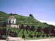 Schloss Wackerbarth Hillside Wall Decal