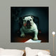 Baddest Bulldog Smoking Cigar Wall Decal