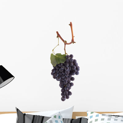 Pinot Noir Grapes Wall Decal shown on a wall