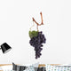 Pinot Noir Grapes Wall Decal