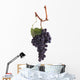 Pinot Noir Grapes Wall Decal