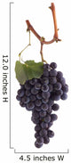 Pinot Noir Grapes Wall Decal