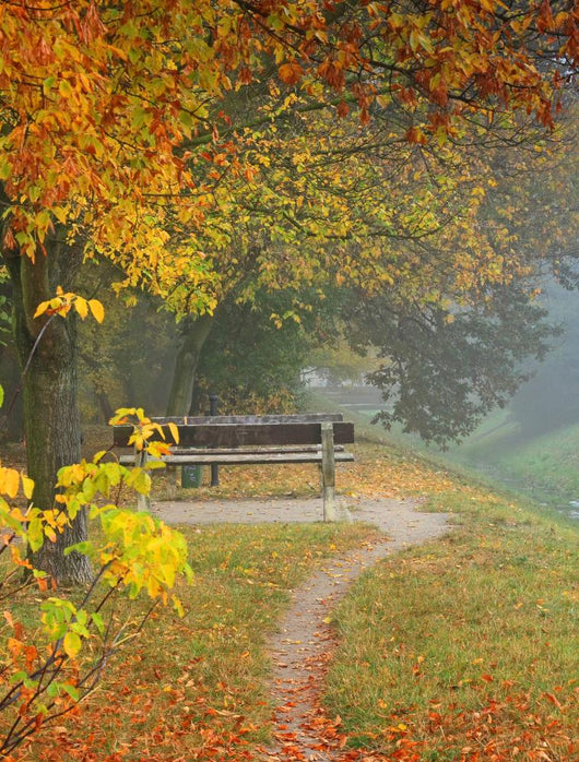 Lonely Benches Wall Decal