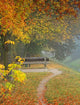 Lonely Benches Wall Decal