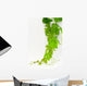 Vine Wall Decal